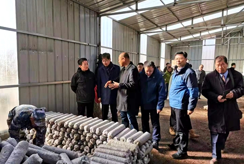 沈陽(yáng)分院機(jī)關(guān)黨委組織黨員赴定點(diǎn)扶貧單位實(shí)地調(diào)研