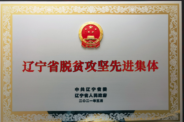 沈陽分院駐村工作隊榮獲“遼寧省脫貧攻堅先進(jìn)集體”稱號