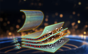 大連化物所實現(xiàn)二維金屬碲化物材料宏量制備