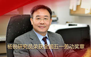 金屬所楊銳研究員榮獲全國(guó)五一勞動(dòng)獎(jiǎng)?wù)? />
                                            </div>
                                            <div   id=