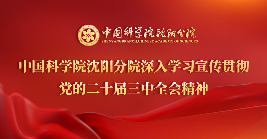 專題：深入學(xué)習(xí)宣傳貫徹黨的二十屆三中全會(huì)精神