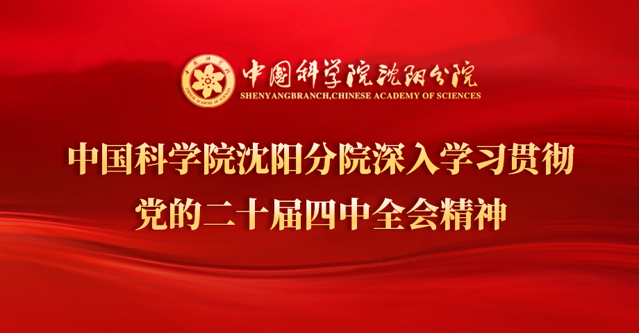 專題：深入學(xué)習(xí)貫徹黨的二十屆四中全會精神