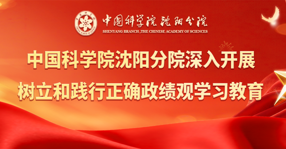 專題：深入開展樹立和踐行正確政績觀學(xué)習(xí)教育