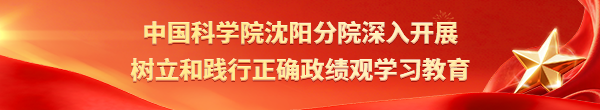 深入開展樹立和踐行正確政績觀學習教育